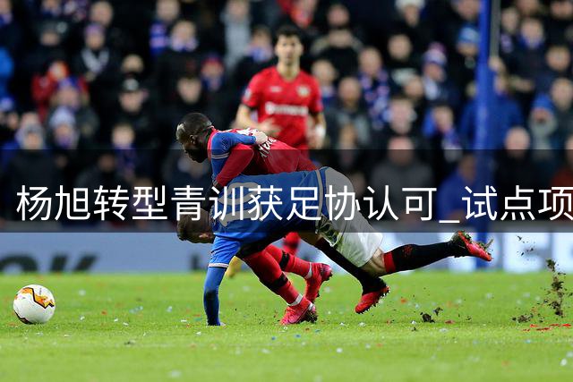 杨旭转型青训获足协认可 试点项目背后的足球情怀